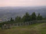 15 : 45