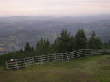 15 : 53