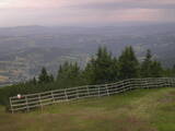 17 : 53