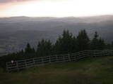 20 : 13