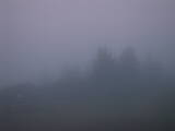 05 : 17