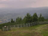 13 : 29
