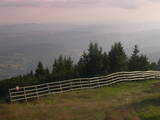 19 : 21