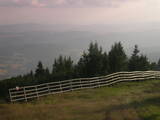 19 : 29