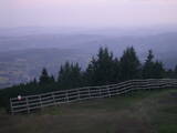21 : 29