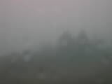 09 : 21