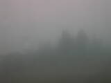 09 : 33