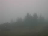 13 : 13