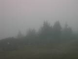 16 : 29