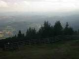19 : 33