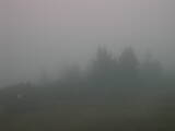 20 : 13