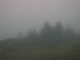 20 : 17