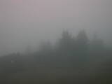 20 : 25