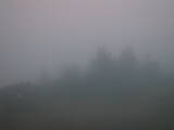 20 : 37