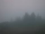 20 : 45