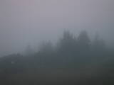 20 : 53