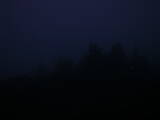 21 : 29