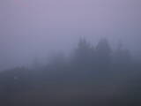 05 : 01
