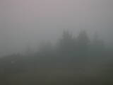 06 : 05