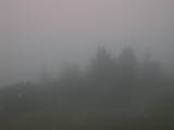06 : 17