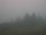 06 : 29