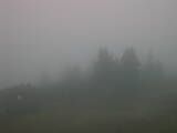 06 : 37