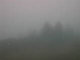 06 : 41