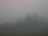 06 : 45