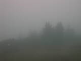 06 : 49