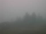 06 : 53