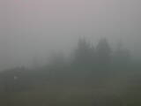 06 : 57