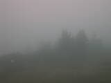 07 : 01