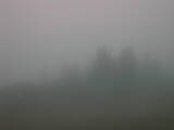 07 : 05