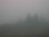 07 : 17
