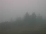 07 : 33