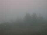 07 : 37