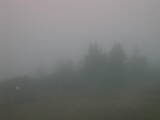 07 : 41