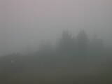 07 : 45