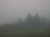 08 : 37