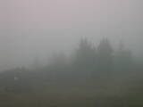 08 : 41