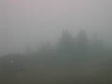 08 : 49