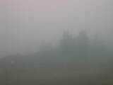 08 : 53