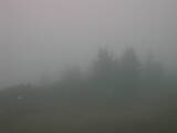 09 : 09
