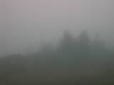 09 : 17