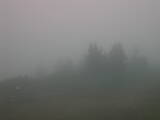 09 : 29