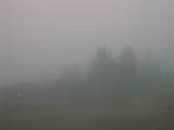09 : 41