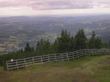 14 : 29