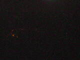 03 : 49