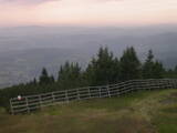 15 : 49