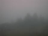 20 : 09
